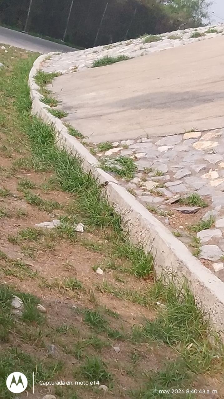 Antes del deshierbe en el perímetro de una instalación industrial